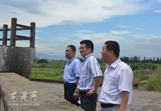 丁云勇检查龙港镇防汛准备工作