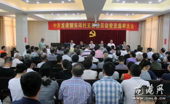 龙港湖前社区东河村新一届支部委员会选举产生