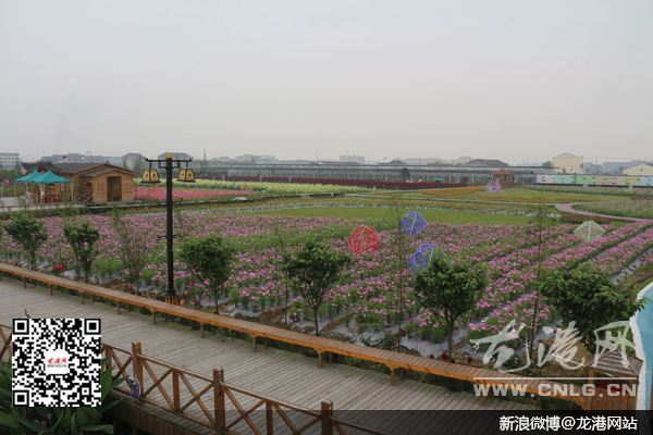 龙港梦江南生态园"六一节"举行国际梦幻灯光节