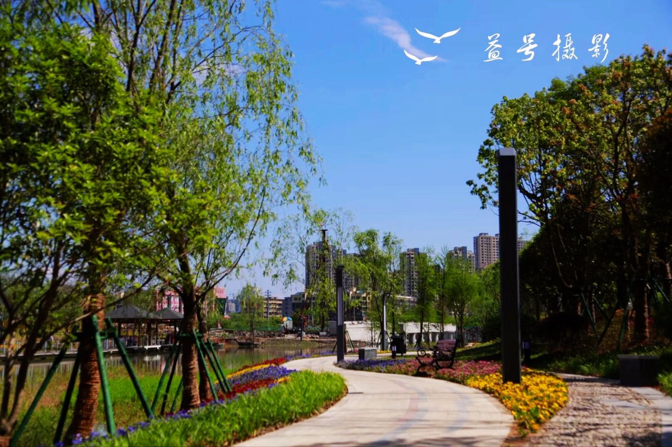 今天,龙港的蓝天白云再次刷爆朋友圈。大家纷纷拿起手机拍下蓝天美景,发出声声赞叹:龙港美爆了!摄影:王益号