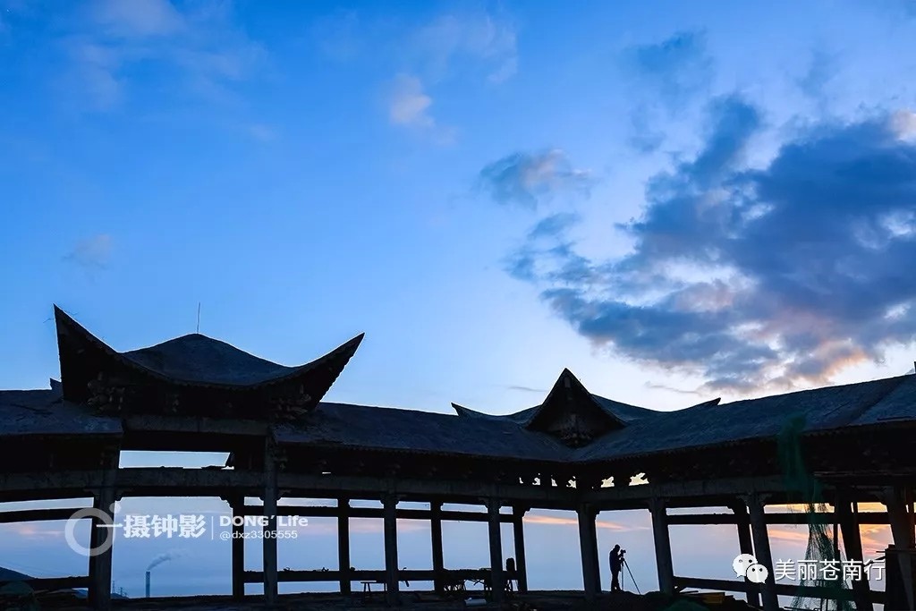 摄影：董希泽  来源：美丽苍南行