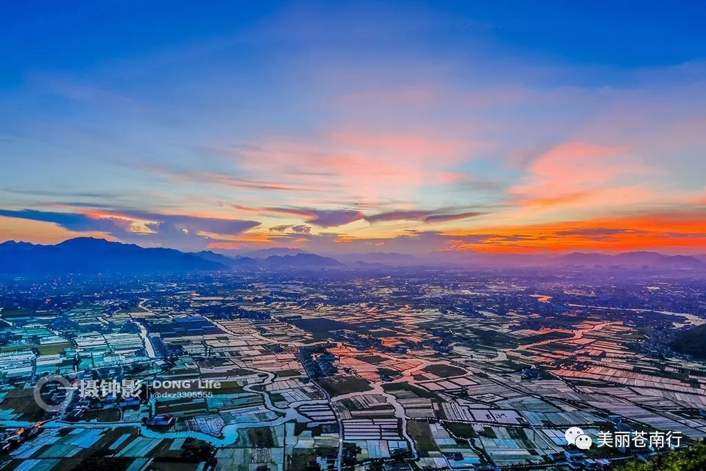 摄影：董希泽  来源：美丽苍南行