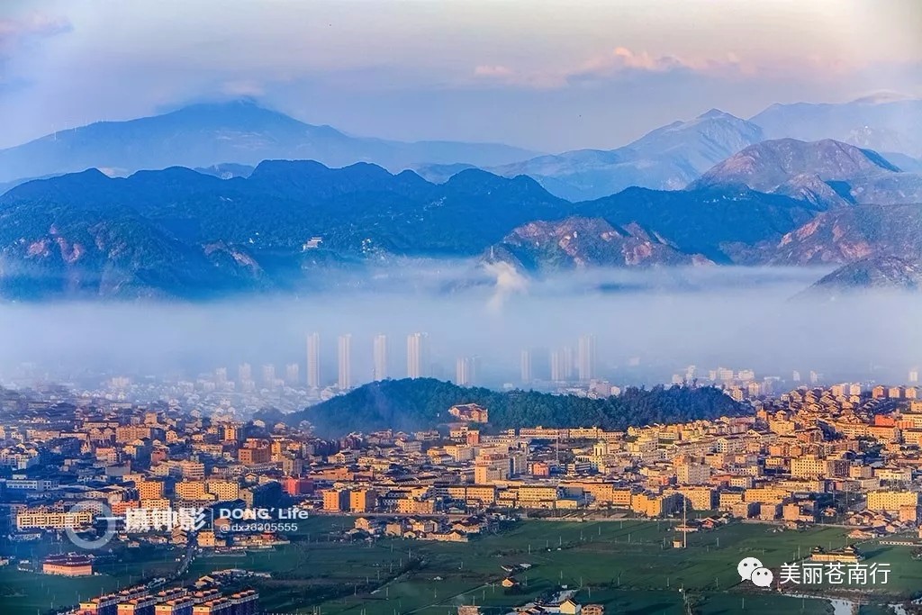 摄影：董希泽  来源：美丽苍南行