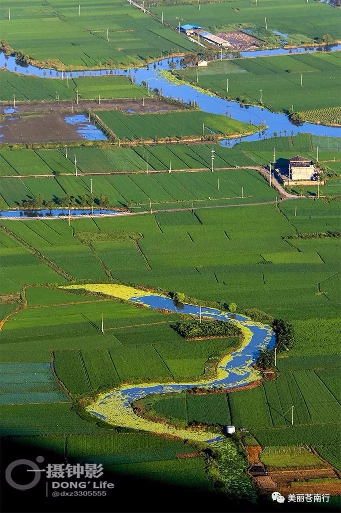 摄影：董希泽  来源：美丽苍南行