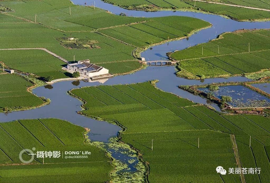 摄影：董希泽  来源：美丽苍南行