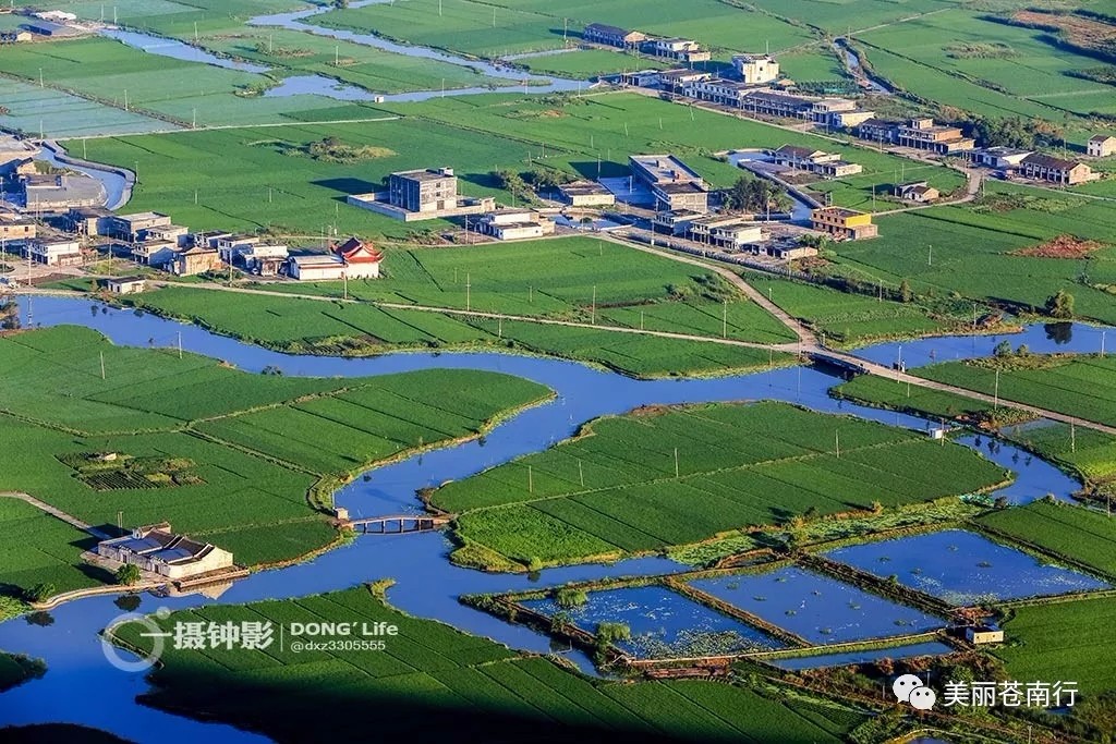 摄影：董希泽  来源：美丽苍南行
