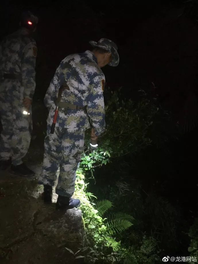 苍南三支队伍连夜搜寻莒溪镇81岁兰氏老人