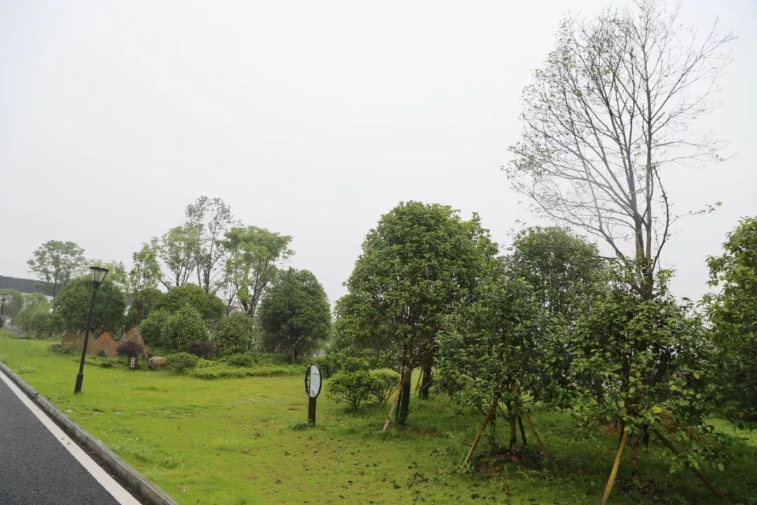 来源：龙港发布