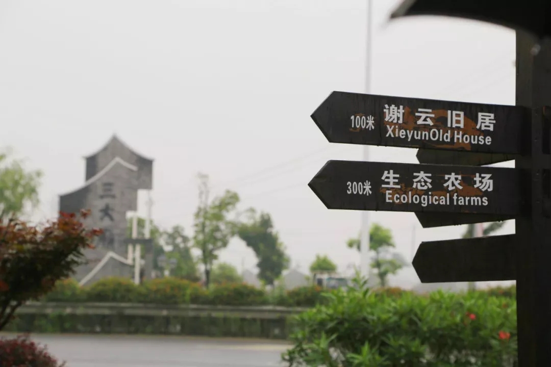 来源：龙港发布