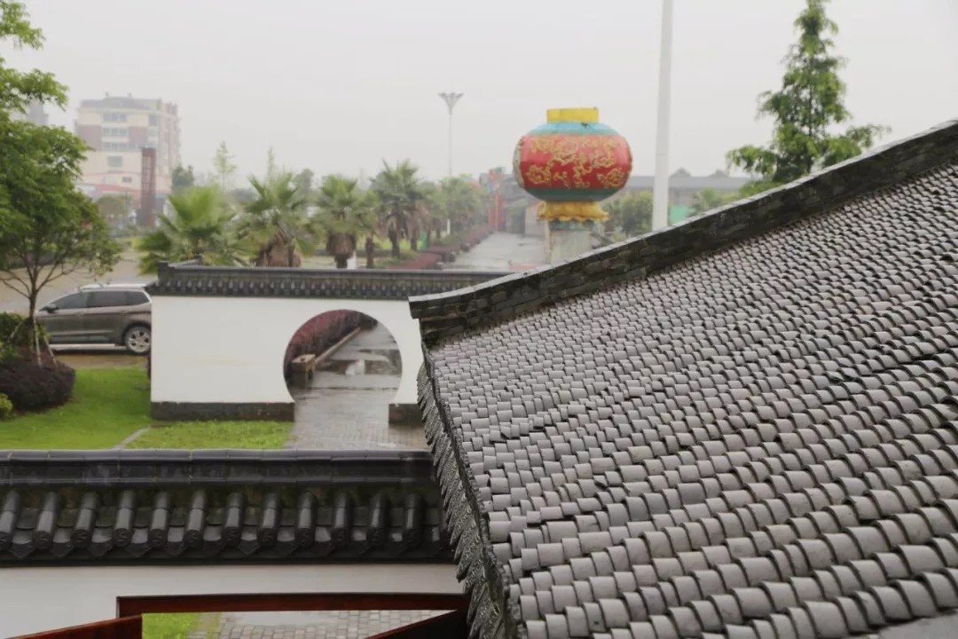 来源：龙港发布