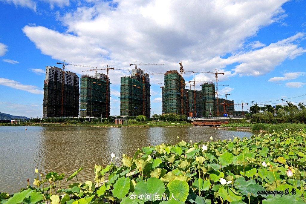 这么美的龙港街景你们见过吗？  gaoyouyang摄影 新浪微博@河底高人