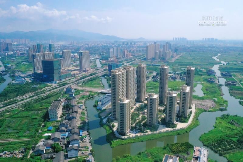 高楼林立的龙港 摄影：池长峰