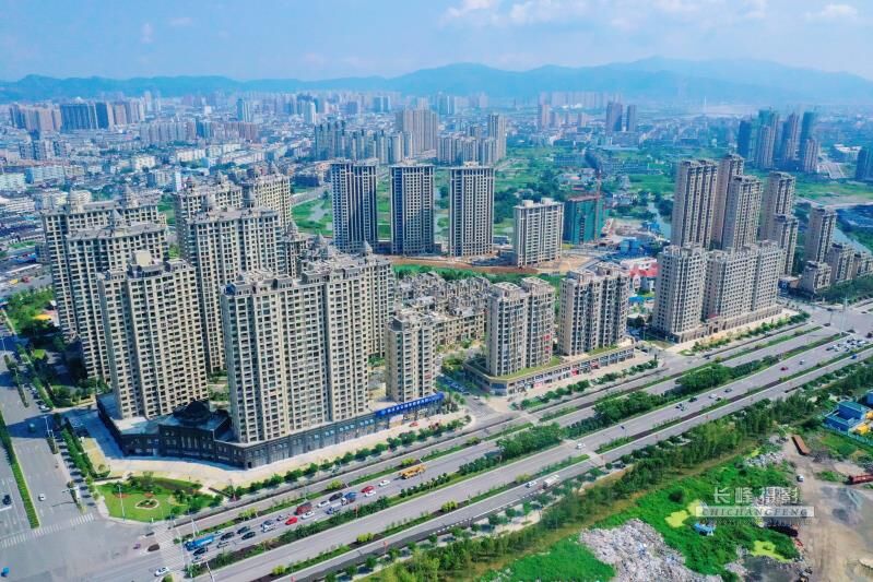 高楼林立的龙港 摄影：池长峰