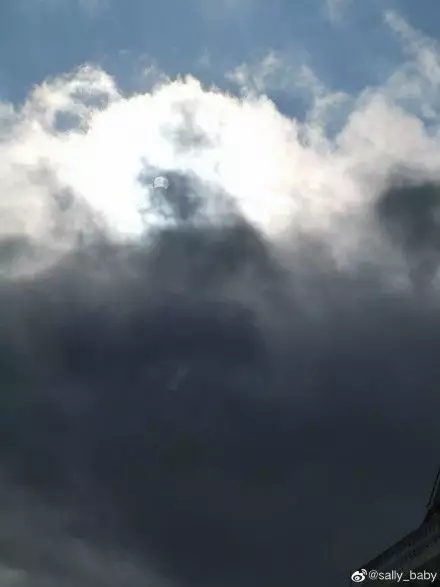 @梅菜呀:拍到啦!来源:温州都市报