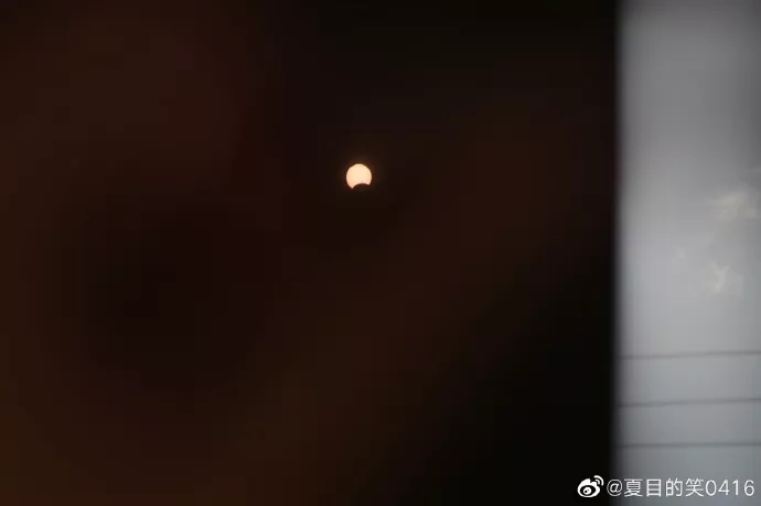 来源:温州都市报