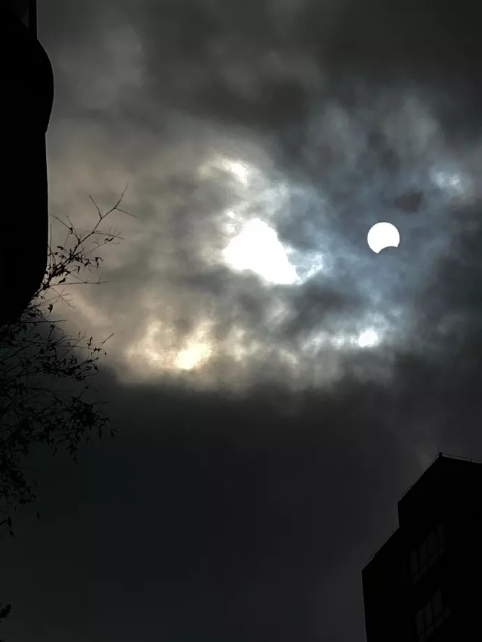 来源:温州都市报