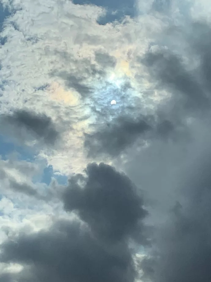 来源:温州都市报