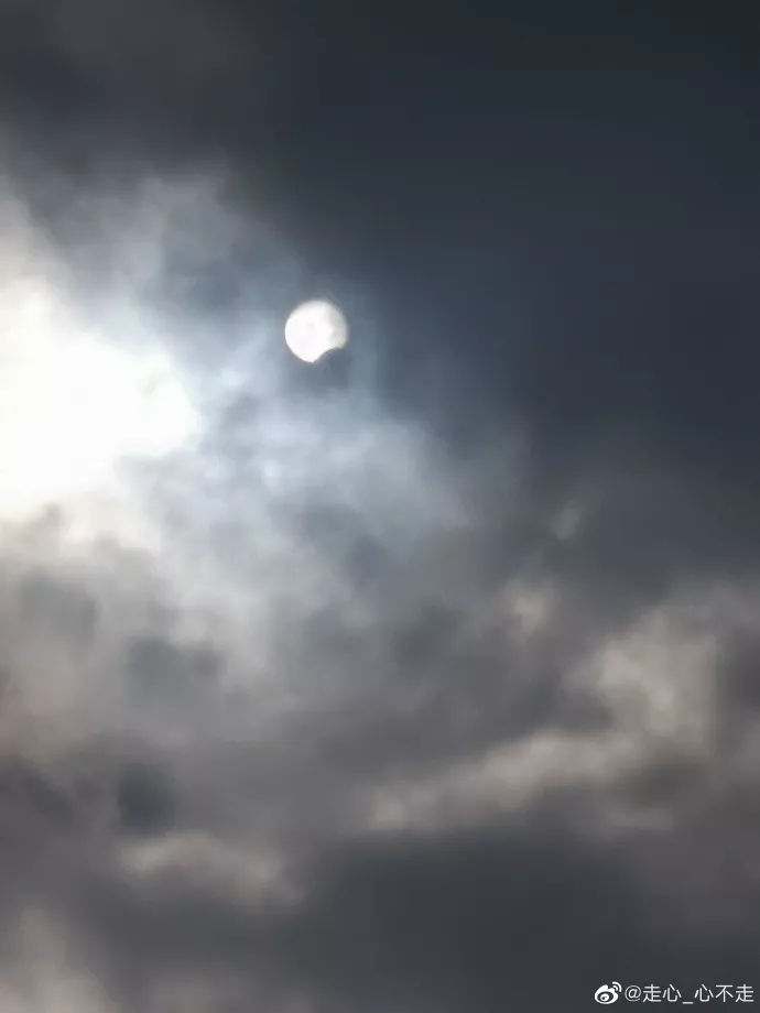 夏目的笑0416:我们诊所医生用单反透过全景胶片拍到的。来源:温州都市报