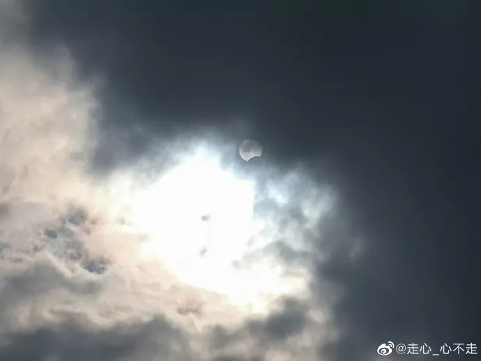 来源:温州都市报