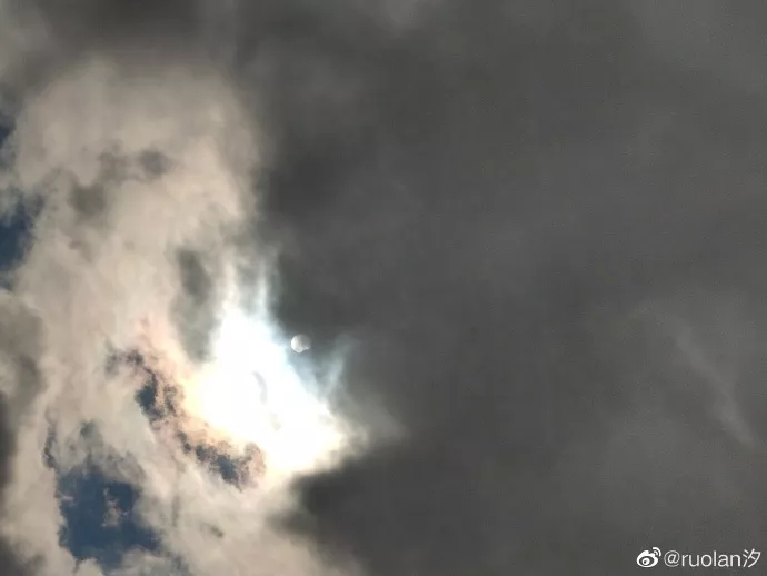 ruolan汐:尽力了只能拍到这样子 来源:温州都市报