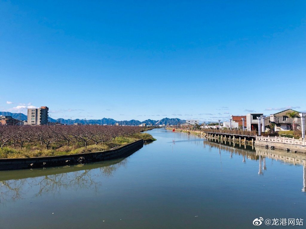 正月初三 龙港天睛了，蓝天透澈