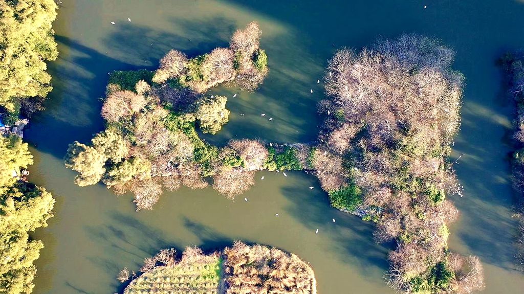 其实你知道吗？春天已经悄悄来临，油菜花都开了。 摄影：池长峰