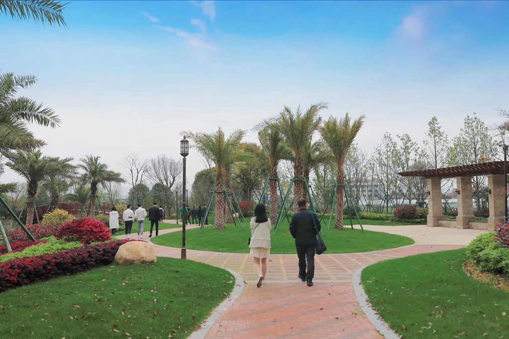  整洁优美的乡村环境，生态宜居的住宅小区，居家养老服务中心、文化礼堂、垃圾资源化利用中心、景观公园等各种公共设施齐全……通过实施“土地综合整治+美丽乡村建设”，龙港市中对口村从脏乱差的后进村华丽转身为精品村，并成为浙江省土地综合整治示范村。摄影：池长峰