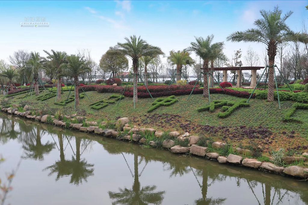  整洁优美的乡村环境，生态宜居的住宅小区，居家养老服务中心、文化礼堂、垃圾资源化利用中心、景观公园等各种公共设施齐全……通过实施“土地综合整治+美丽乡村建设”，龙港市中对口村从脏乱差的后进村华丽转身为精品村，并成为浙江省土地综合整治示范村。摄影：池长峰