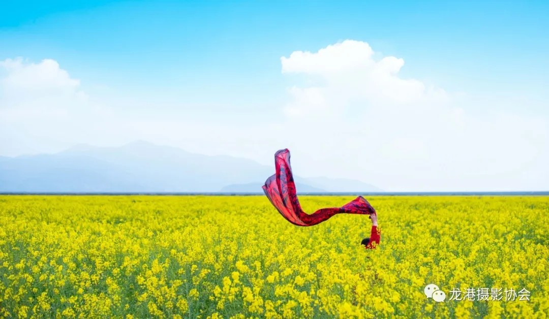 春天里 ——龙港摄影协会   春之舞(林飞腾)
