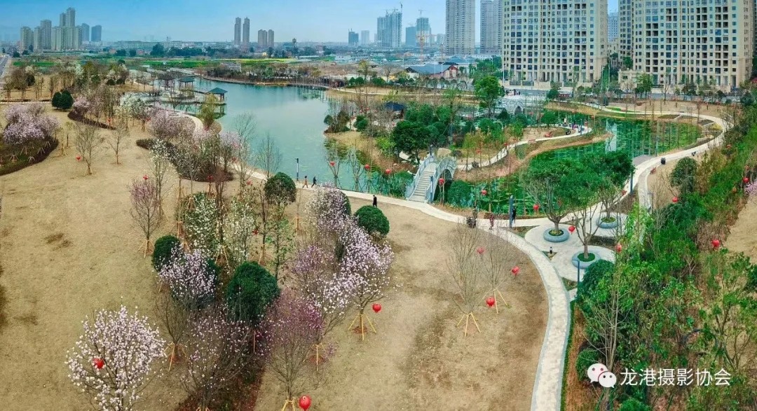 春天里 ——龙港摄影协会  春园(池长峰)