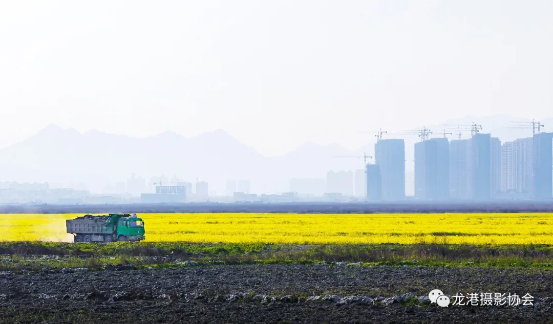 春天里 ——龙港摄影协会   春土(倪步两)
