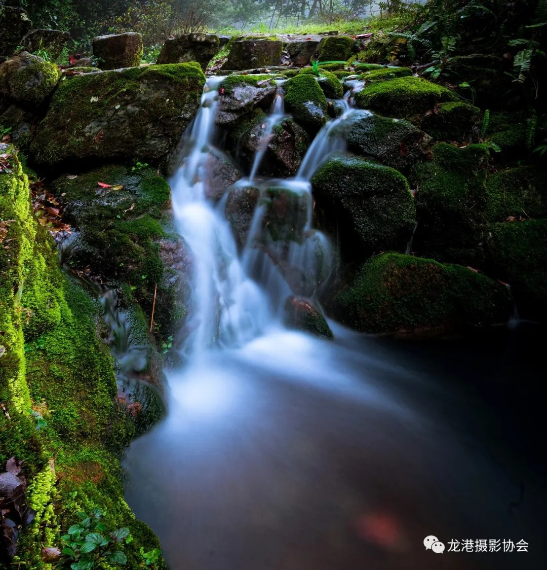春天里 ——龙港摄影协会   春水(黄圣悔)