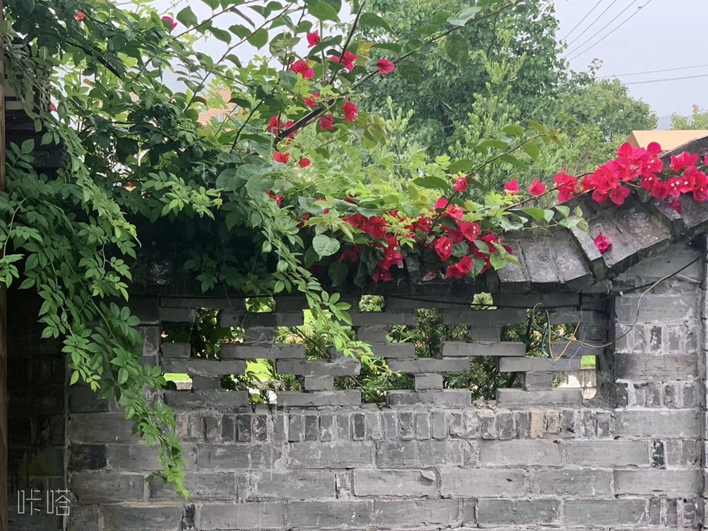 雨中漫步古村，渔夫未曾改变！又见乾头！ 杨道吾/摄