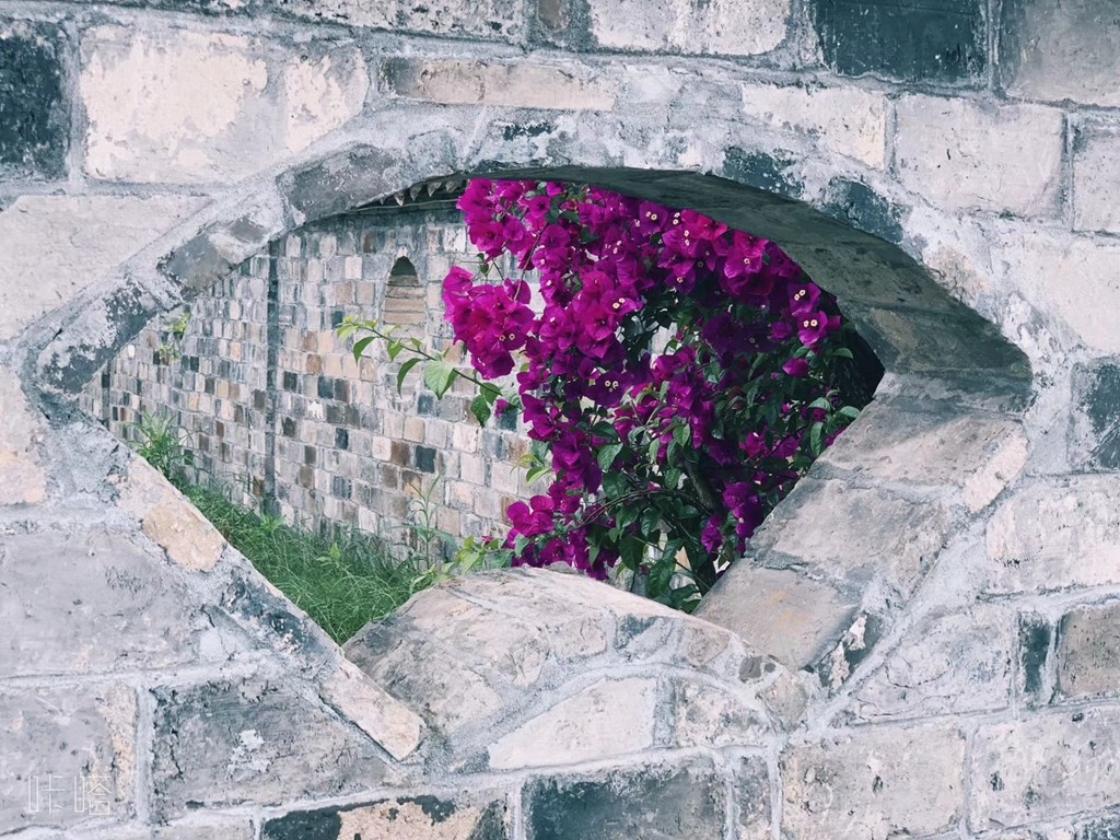 雨中漫步古村，渔夫未曾改变！又见乾头！ 杨道吾/摄