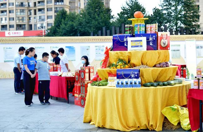 龙港市举办首届农民丰收节大型宣传展示活动