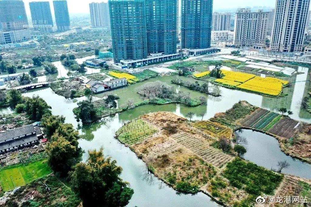 龙港城区惟一一块‘绿肺’ 龙港城市公园二期建设 计划11月底开始实施