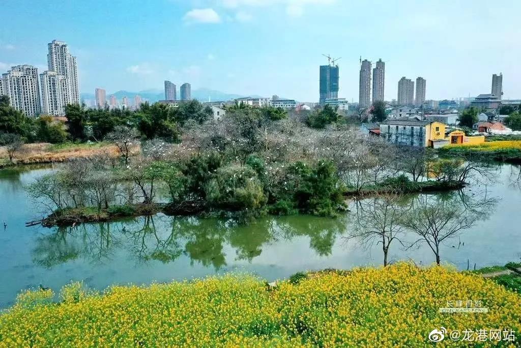 龙港城市公园二期建设 计划11月底开始实施