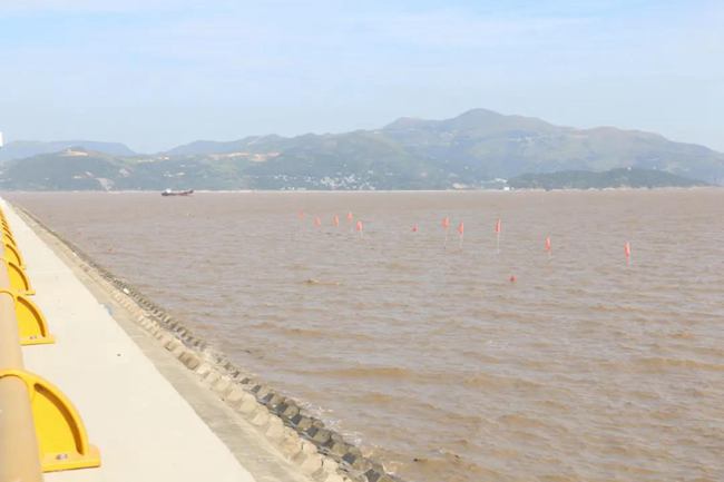 龙港新城堤外非法占用滩涂养殖清理整治专项行动正式启动