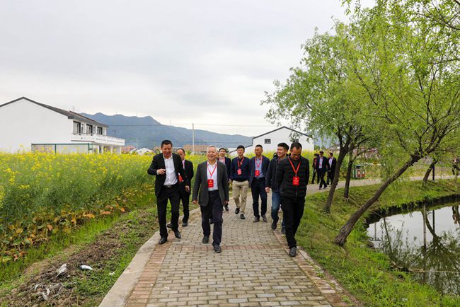龙港如何实现全域美如画 市政协开展视察助力乡村振兴示范带建设 龙港如何实现全域美如画 市政协开展视察助力乡村振兴示范带建设