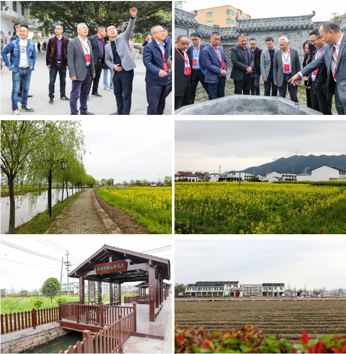 龙港如何实现全域美如画 市政协开展视察助力乡村振兴示范带建设
