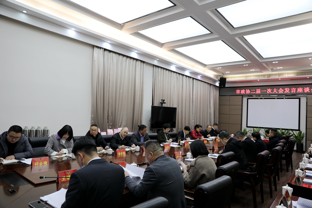 龙港市政协召开二届一次会议大会发言座谈会