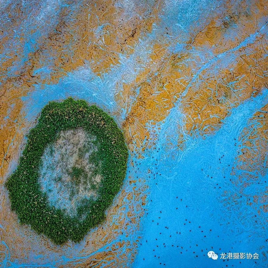 王友西 摄 《最美湿地》组照