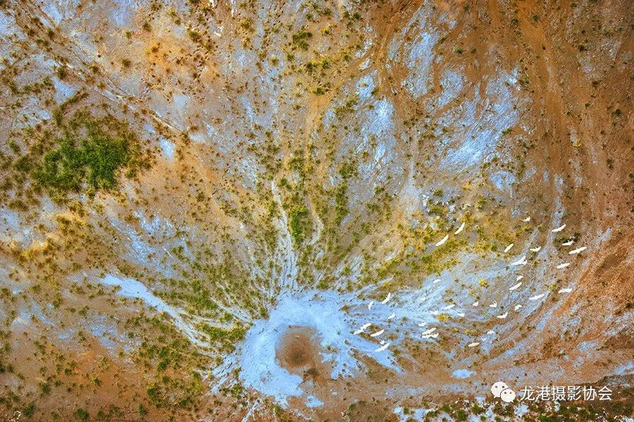 王友西 摄 《最美湿地》组照