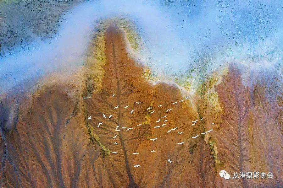 王友西 摄 《最美湿地》组照