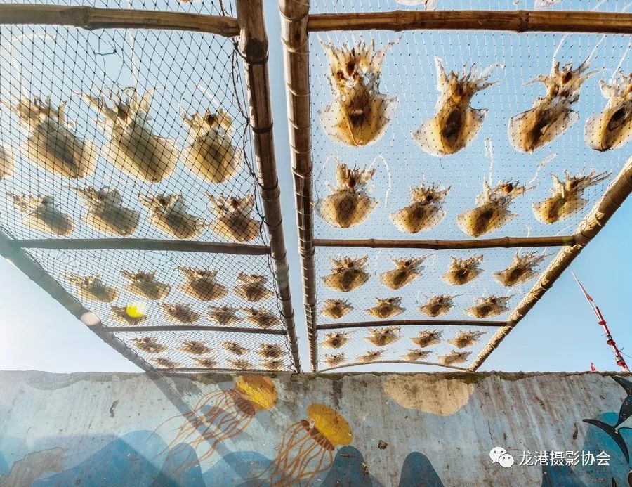 吴墅 摄 《渔村印象》组照