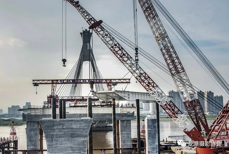姜祥庆 摄 《龙港四桥建成通车》组照
