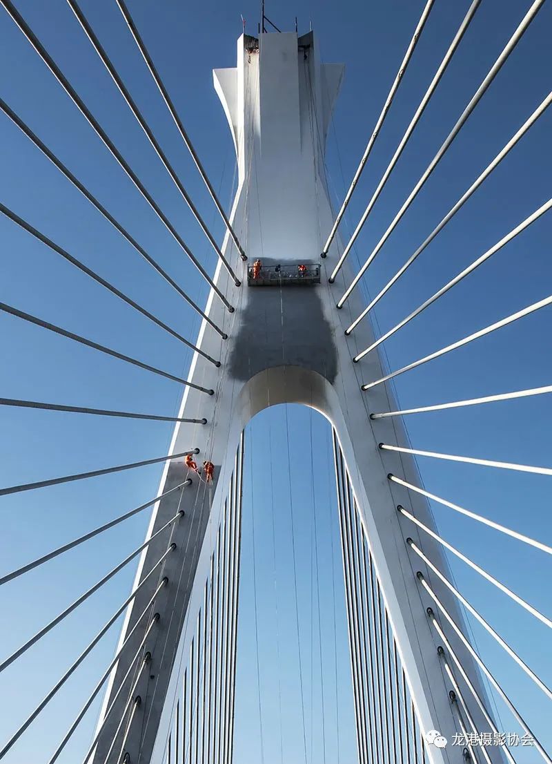 姜祥庆 摄 《龙港四桥建成通车》组照