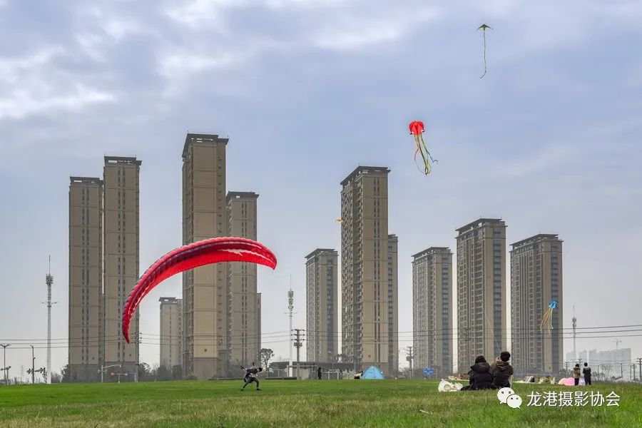 董学安 摄 《春，放飞的季节》