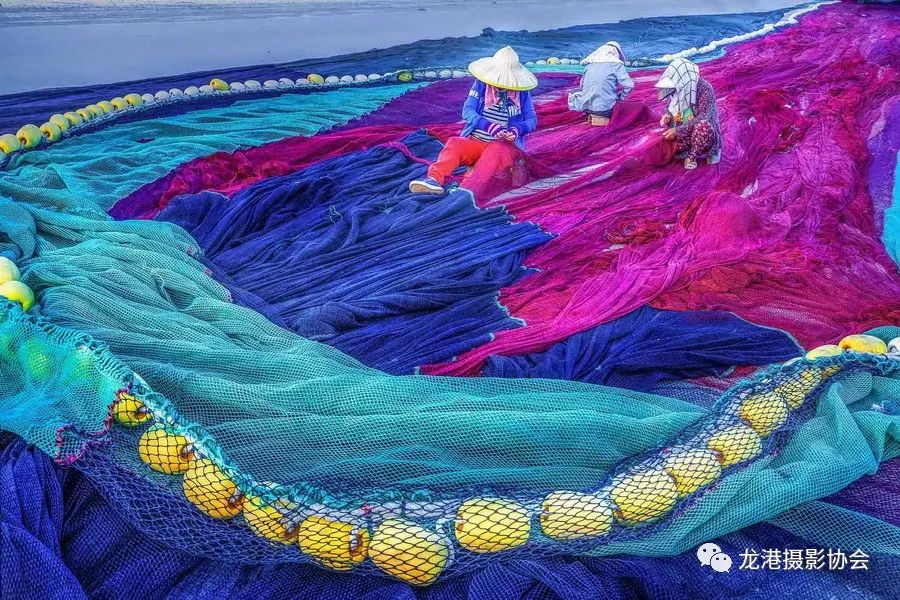 蔡正启 摄 《补网》