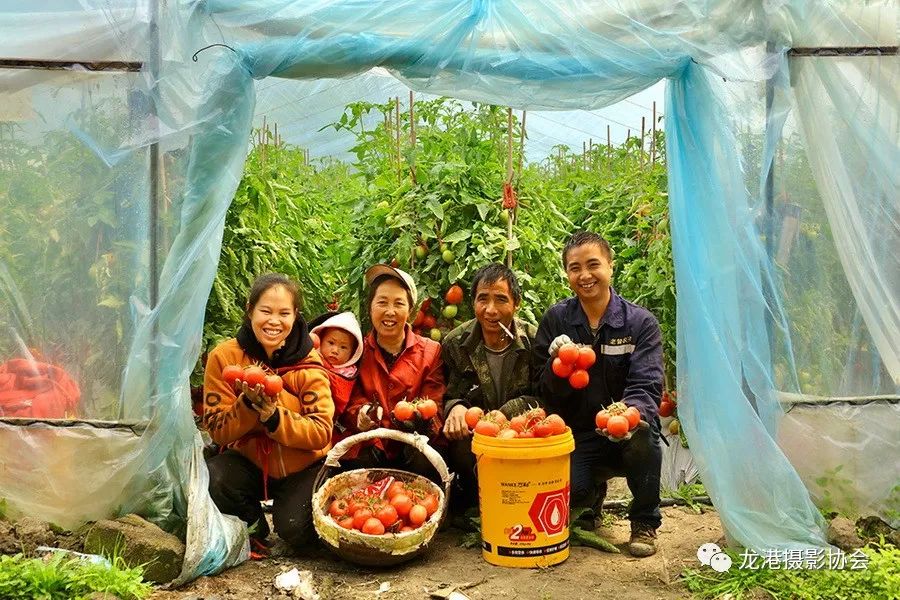 谢春生 摄 《丰收的喜悦》
